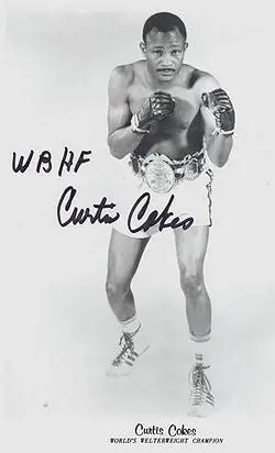 Curtis Cokes Boxing Dvd 1