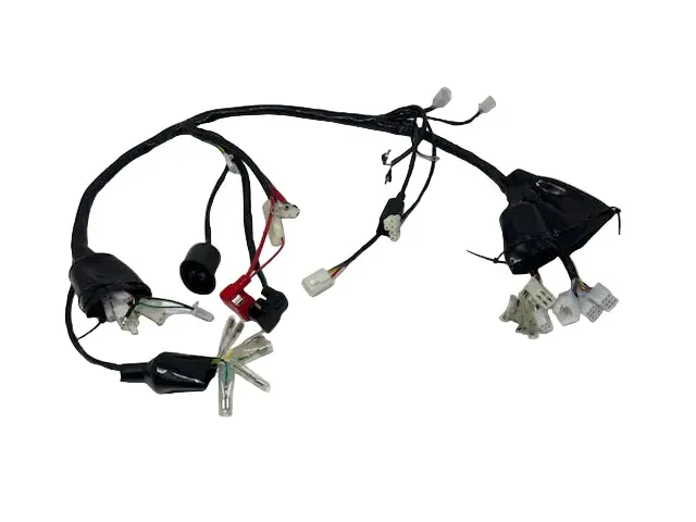 X21 50/150Cc Automatic Motorcycle | Wiring Harness (Ym50-97) 1