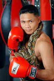 Donnie Nietes Boxing Career Dvds 1