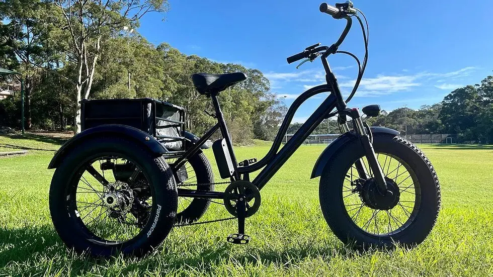 Kst Electric Trike Bike Fat Tire 48V20ah 1