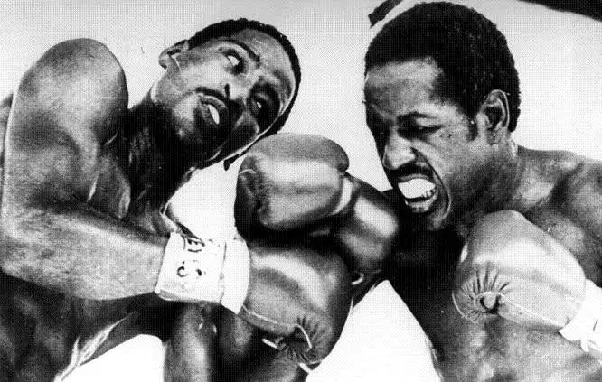 Harold Weston Boxing Career Dvds 1