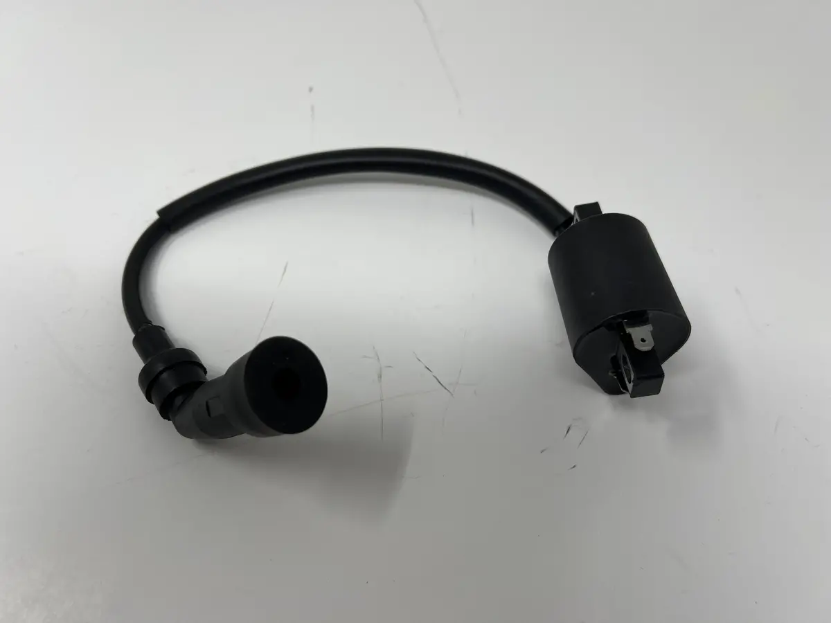 X22r Max 250Cc Motorcycle | Ignition Coil (H6-70117) 1