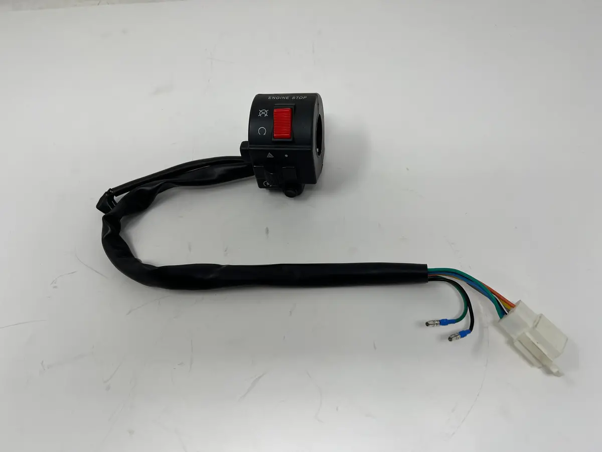 Sportster 250Cc Chopper | Right Combination Switch (10010121-2) 1