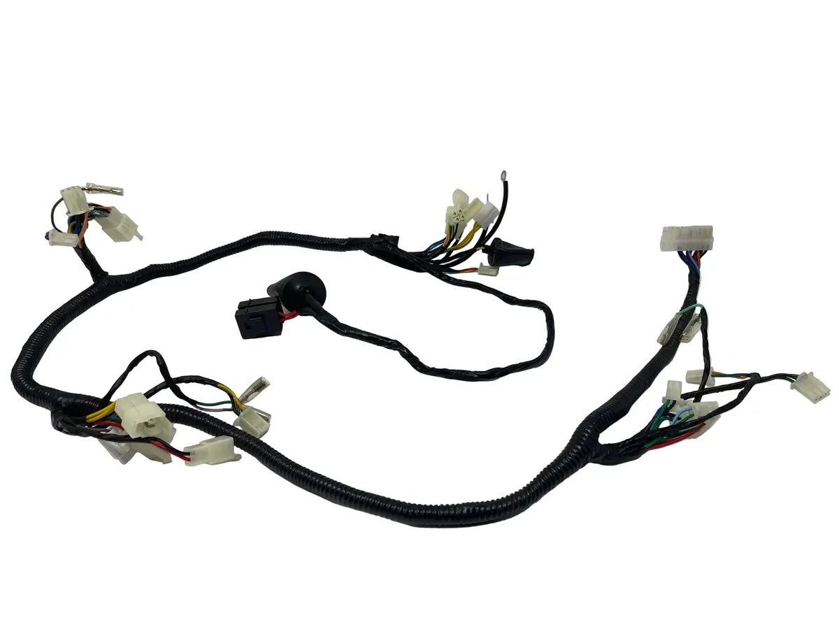 X22gt 250Cc Automatic Motorcycle | Wiring Harness (Yy350-6E-2002100) 1