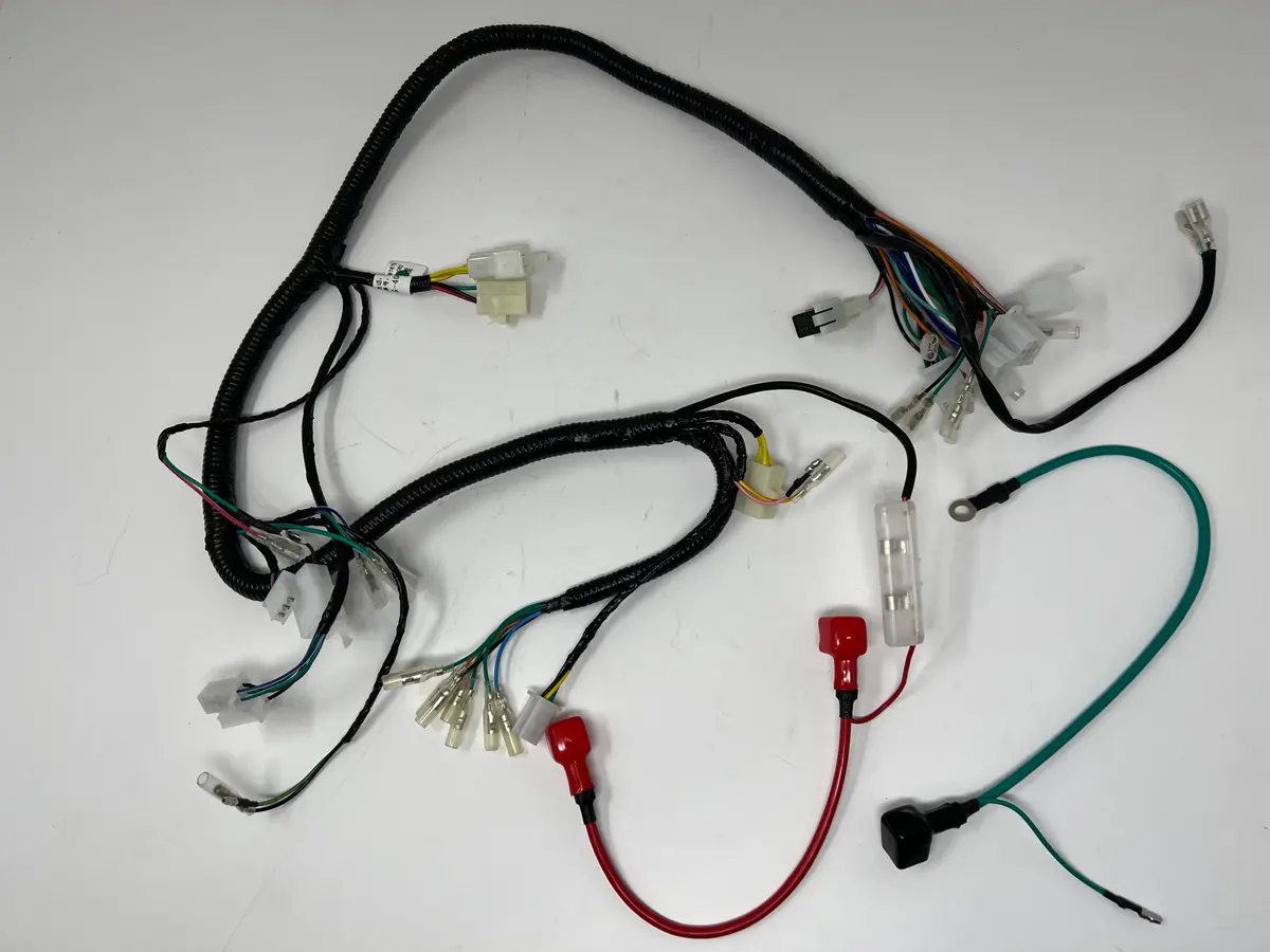 Sportster 250Cc Chopper | Wiring Harness (08010137) 1