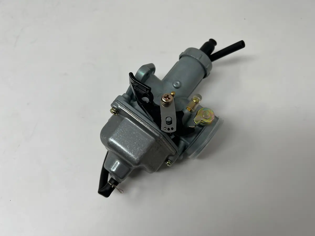 Sportster 250Cc Chopper | Carburetor (01030023) 1