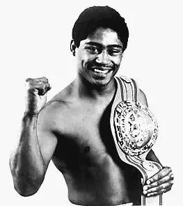 Juan Laporte Boxing Career Dvds 1