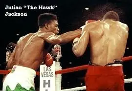 Julian Jackson Boxing Career Dvds 1