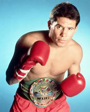 Julio Cesar Chavez Boxing Career Dvd Set 1