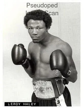 Leroy Haley Boxing Career Dvds 1