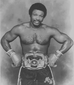 Mike Weaver Boxing Career Dvds 1