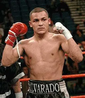 Mike Alvarado Boxing Career Dvds 1