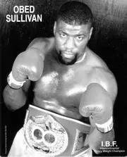 Obed Sullivan Career Set 1