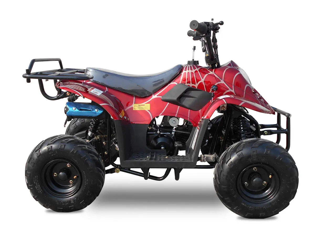Rex 110Cc Atv | 4-Stroke Automatic Transmission 3