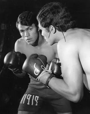 Pipino Cuevas Boxing Career Dvd Set 1