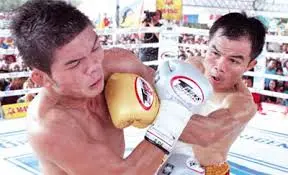 Pongsaklek Wonjongkam Boxing Dvds 1