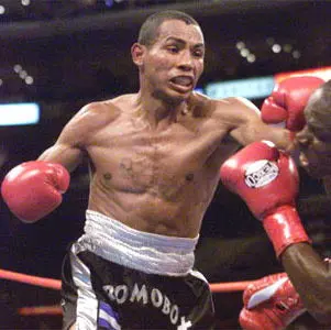 Ricardo Mayorga Boxing Career Dvds 1