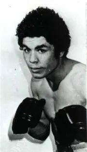 Sergio Palma Boxing Career Dvds 1