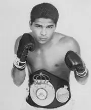 Steve Cruz Boxing Career Dvds 1