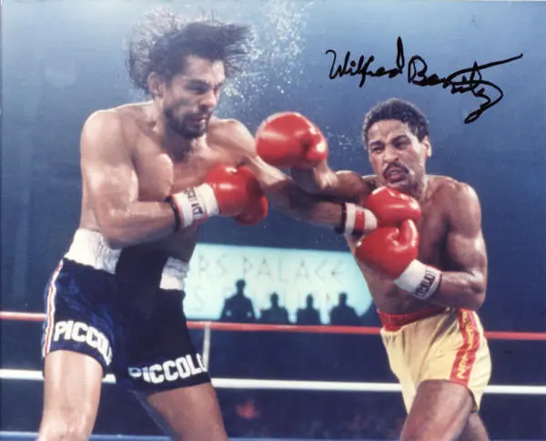 Wilfred Benitez - Career Boxing Dvds 1