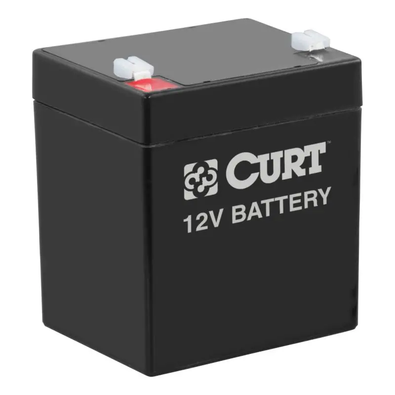 Curt Breakaway Battery 1